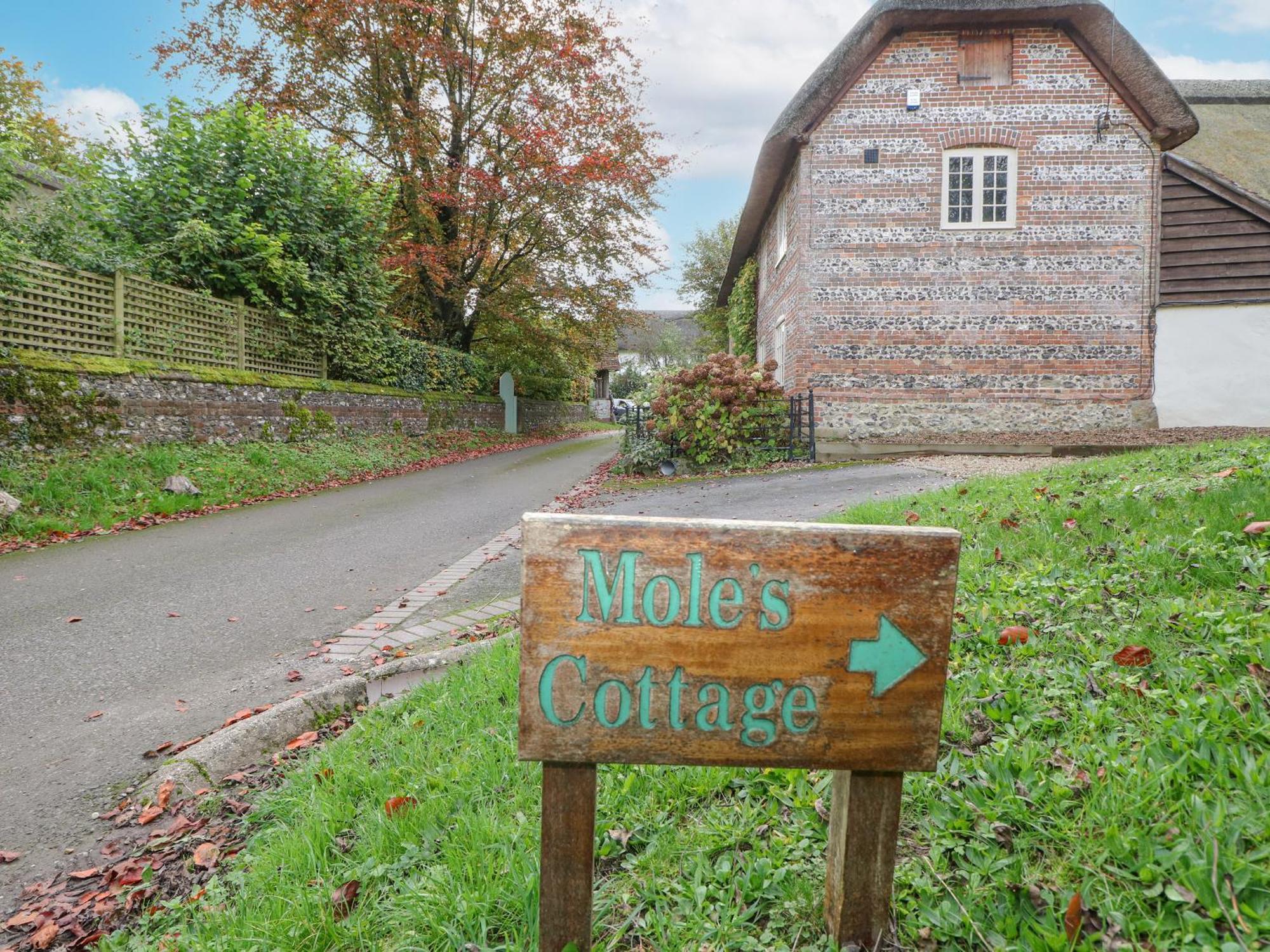 Moles Cottage Blandford Forum Exterior foto